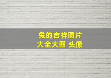 兔的吉祥图片大全大图 头像